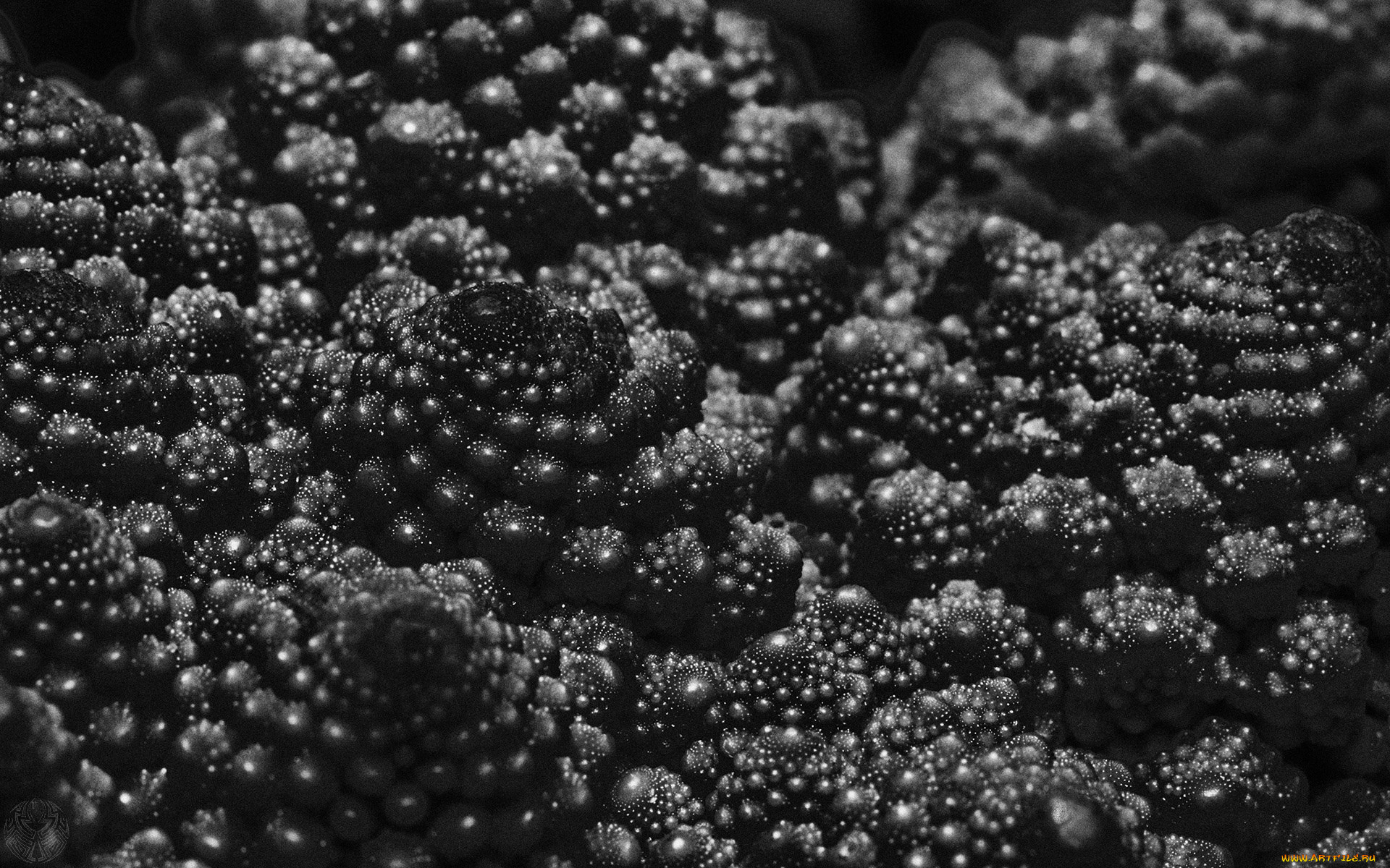 3, , abstract, , 